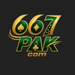 667Pak Game logo