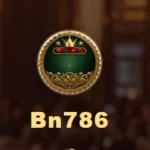 BN786 Game logo